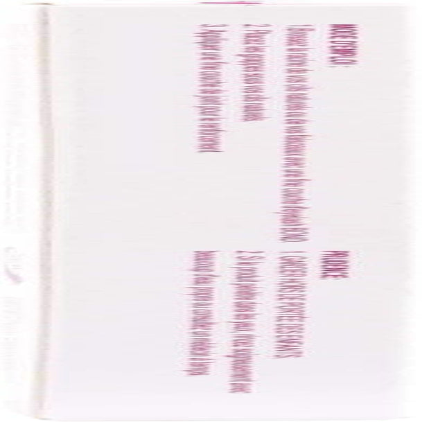 Lash Bond and Seal 10Ml Lash Clusters Eyelash Clusters DIY Lash Extensions Waterproof Eyelash Glue Long Lasting Individual Lashes