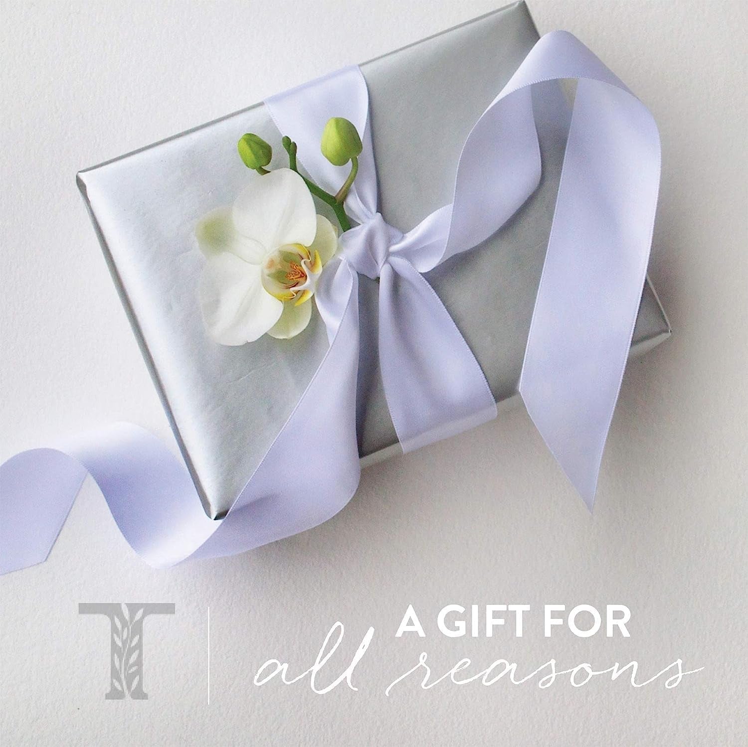 Lavender Body Lotion, 9.25 Ounces