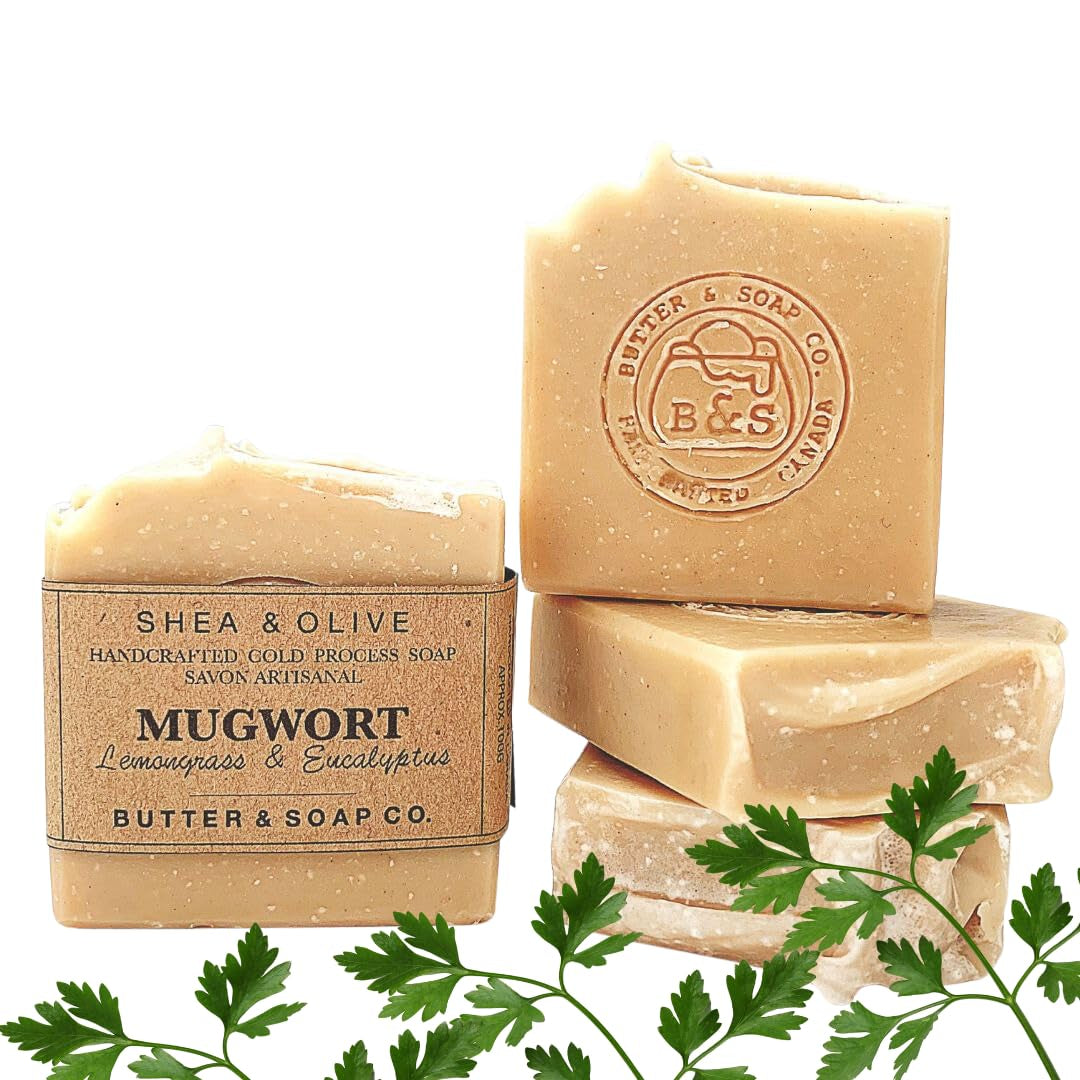 Mugwort Herbal Soap Lemongrass Eucalyptus Natural Cold Processed Face and Body Soaps for Men and Women (Pack of 3)